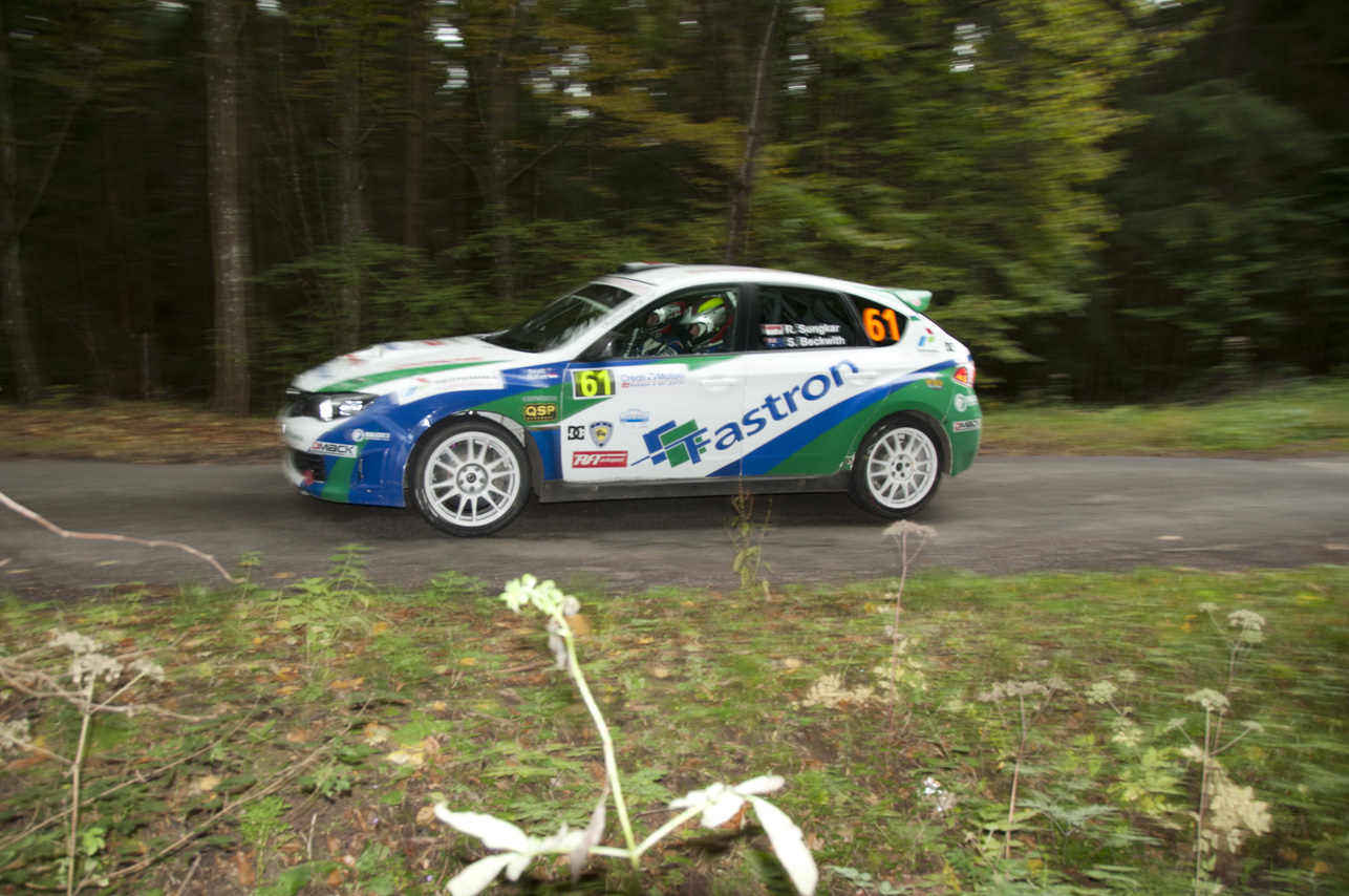 2012_WRC_Ralley_de_France_Alsace_dsc_281