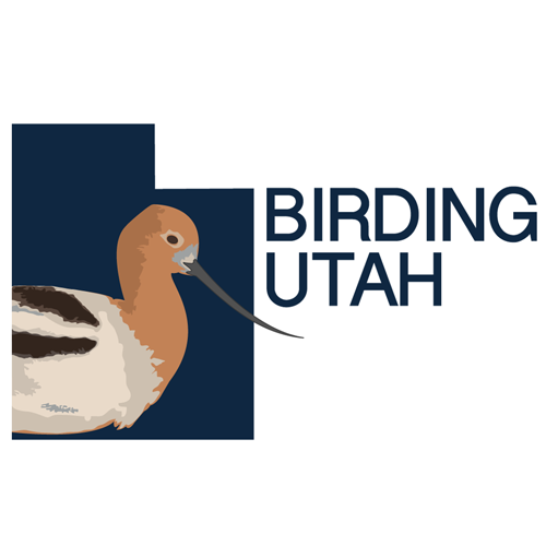 Birding_Utah_Logo_500px