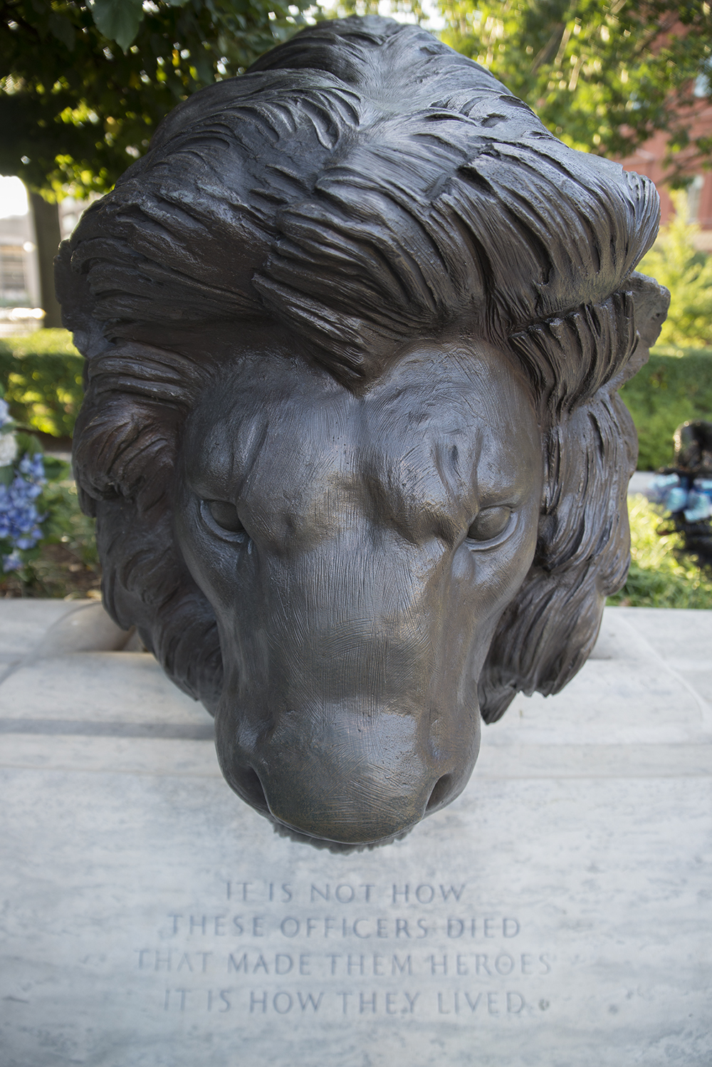 DC Sightseeing The Lion Statues of the Nation’s Capital