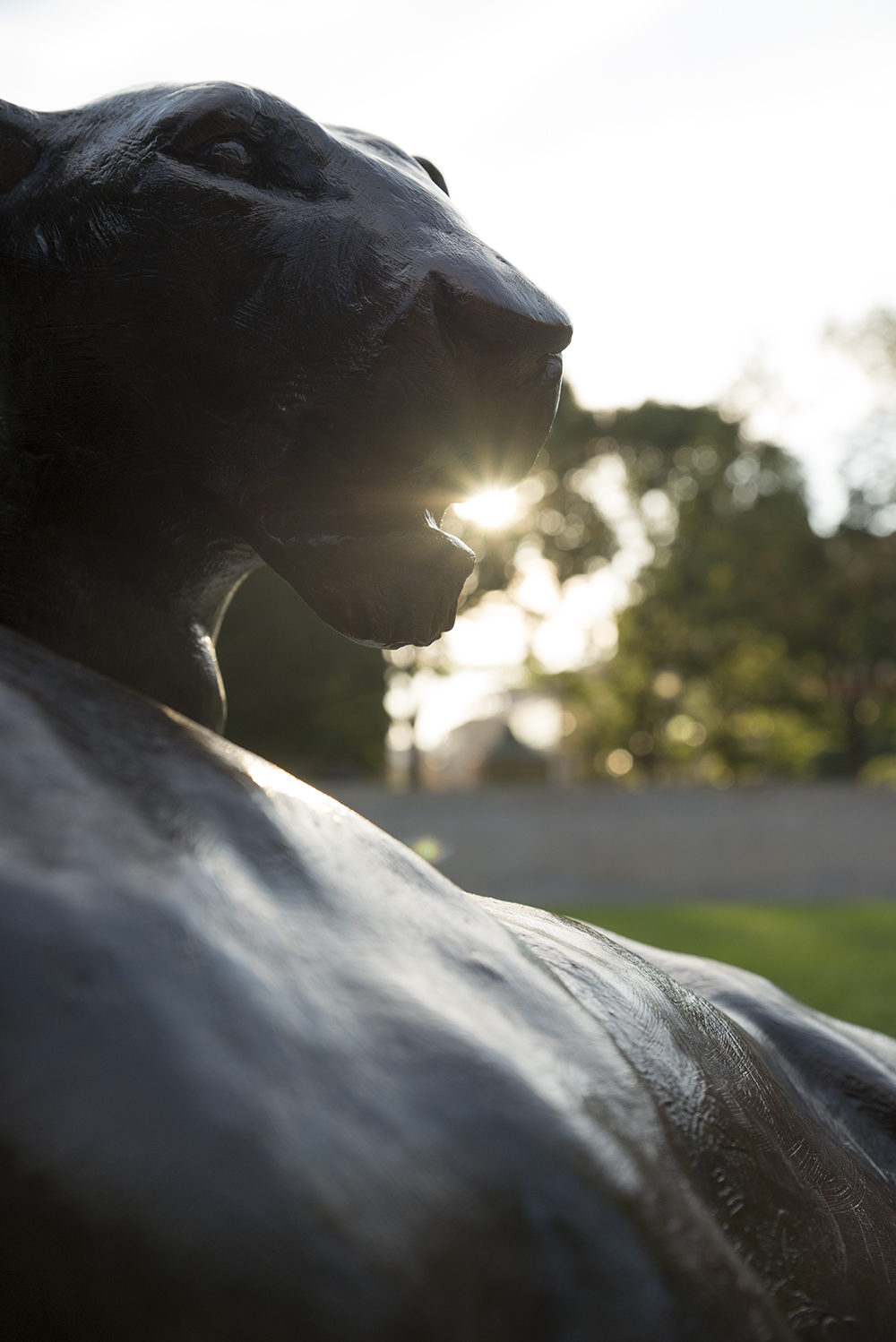 DC Sightseeing The Lion Statues of the Nation’s Capital