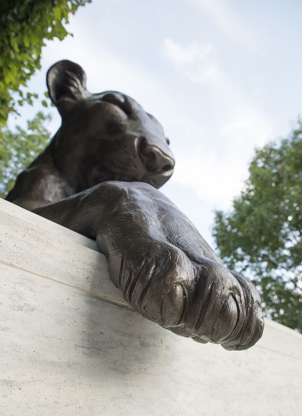 DC Sightseeing The Lion Statues of the Nation’s Capital