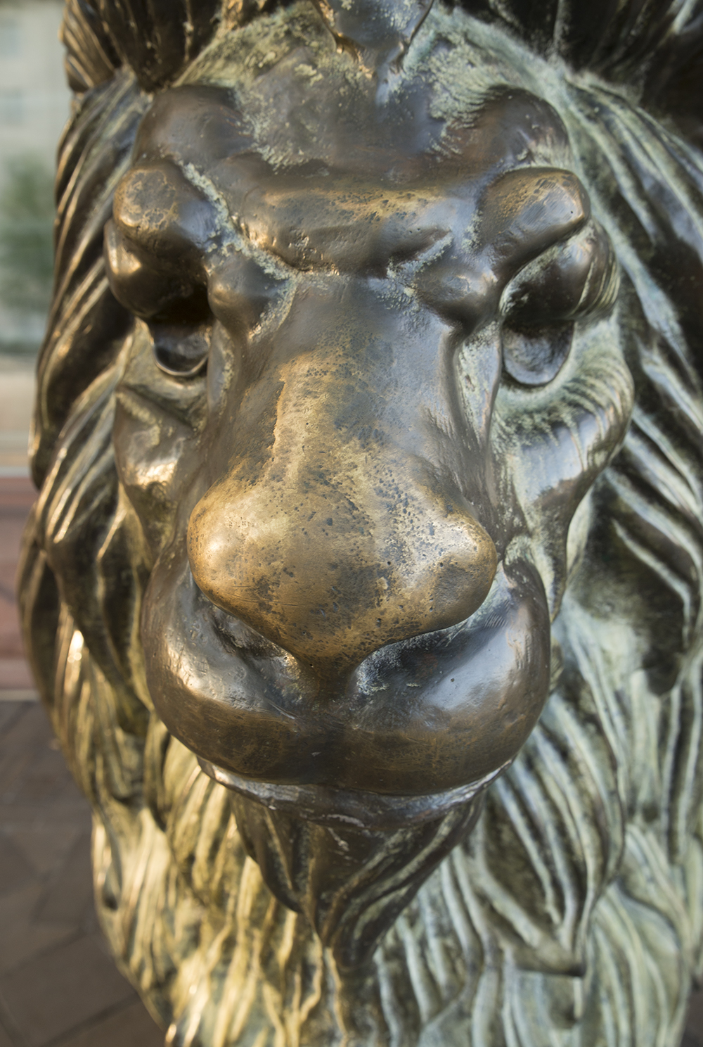 DC Sightseeing The Lion Statues of the Nation’s Capital