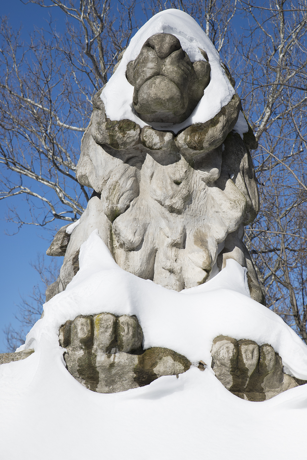 DC Sightseeing The Lion Statues of the Nation’s Capital