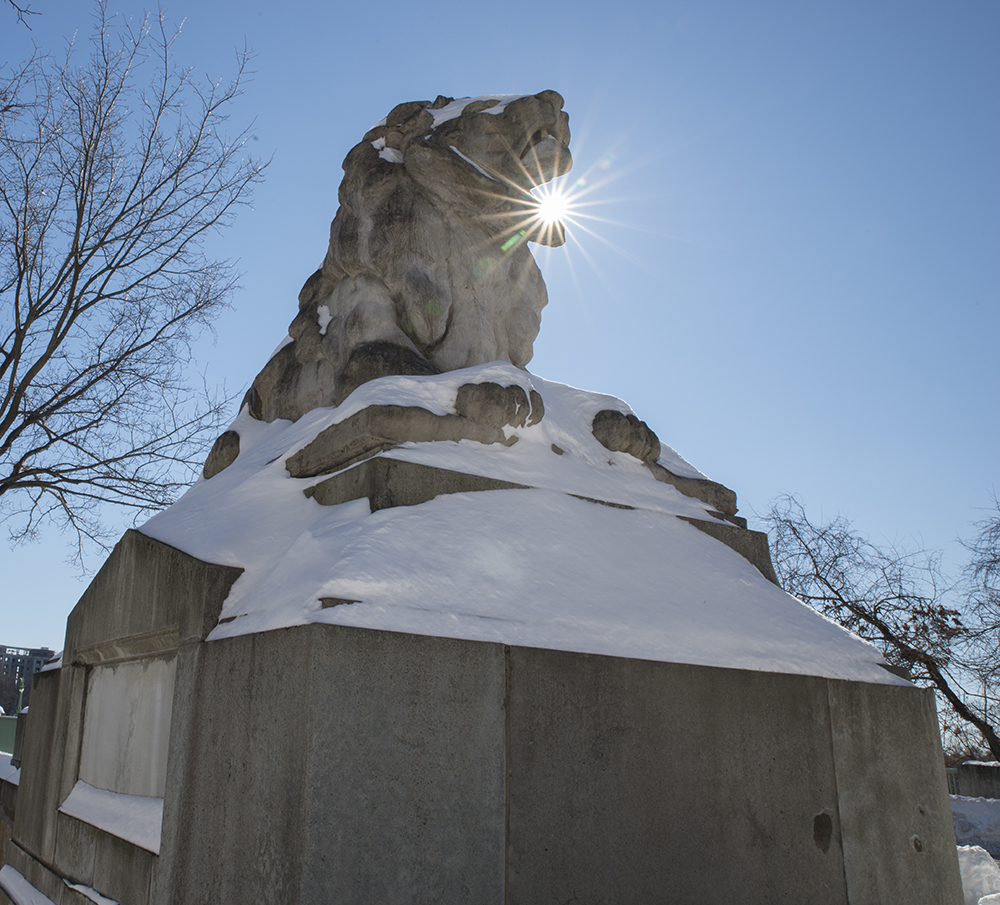 DC Sightseeing The Lion Statues of the Nation’s Capital