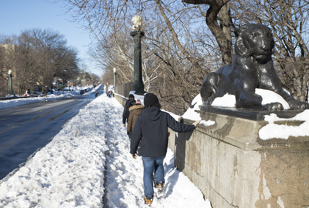 DC Sightseeing The Lion Statues of the Nation’s Capital