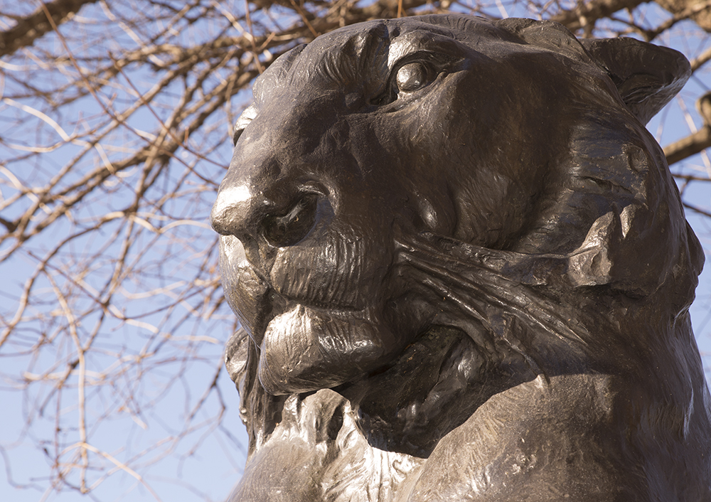DC Sightseeing The Lion Statues of the Nation’s Capital