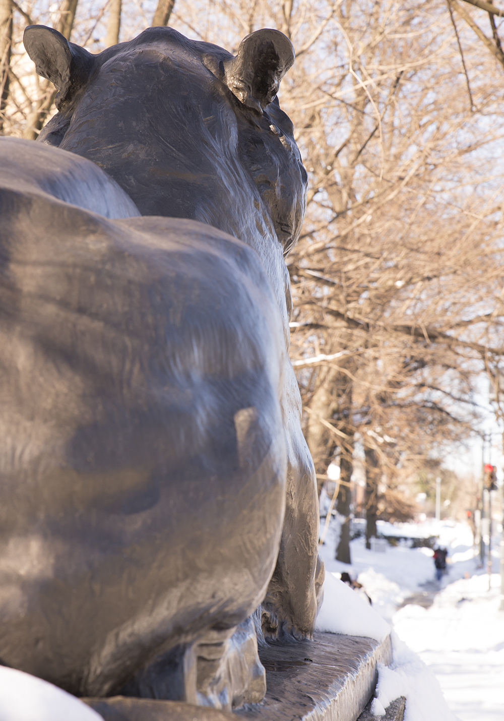 DC Sightseeing The Lion Statues of the Nation’s Capital