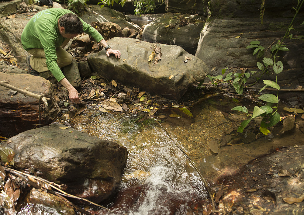 Toby on his never-ending pursuit of reptiles and amphibians. This time at the streams near the famous Asa Wright Nature Centre.